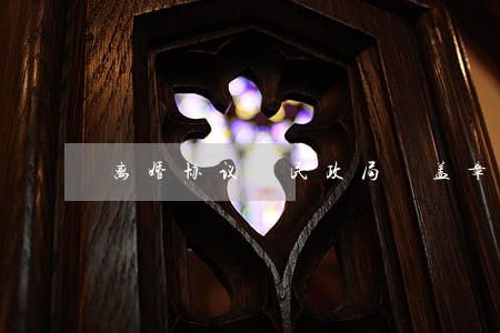 离婚协议 民政局 盖章 离婚协议 民政局 盖章